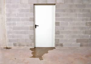 Water pooling at the base of a white door in a basement, highlighting potential water damage and leak issues related to basement repairs.