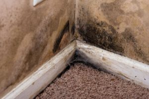 effective-basement-waterproofing-basement-repair-specialists-1