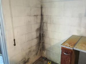 basement-waterproofing-basement-repair-specialists-1