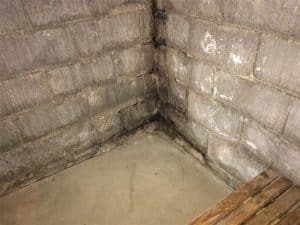 Basement corner showing water damage and mold growth on concrete walls, highlighting the need for waterproofing solutions and expert assessment from Basement Repair Specialists.
