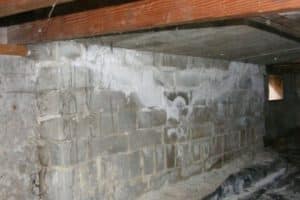 Basement wall showing efflorescence, indicating moisture issues and potential foundation problems, relevant to foundation repair solutions by Basement Repair Specialists.