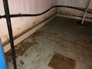 Damp basement floor with visible water stains, cracked walls, and plumbing pipes, illustrating the need for effective waterproofing solutions to prevent water intrusion and mold growth.