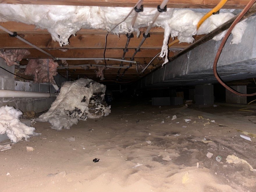 Protecting Your Home with Crawlspace Waterproofing Solutions